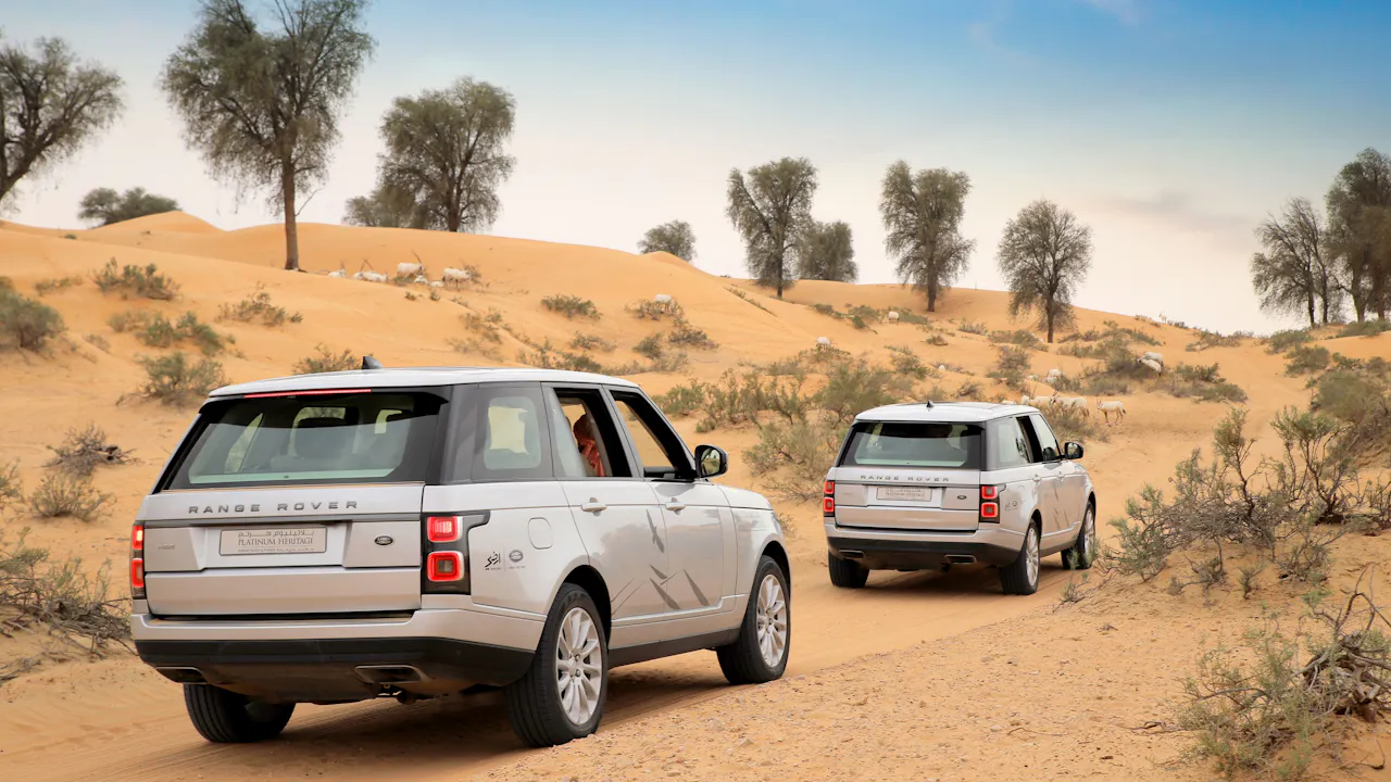 Platinum Falconry and Wildlife Safari Location