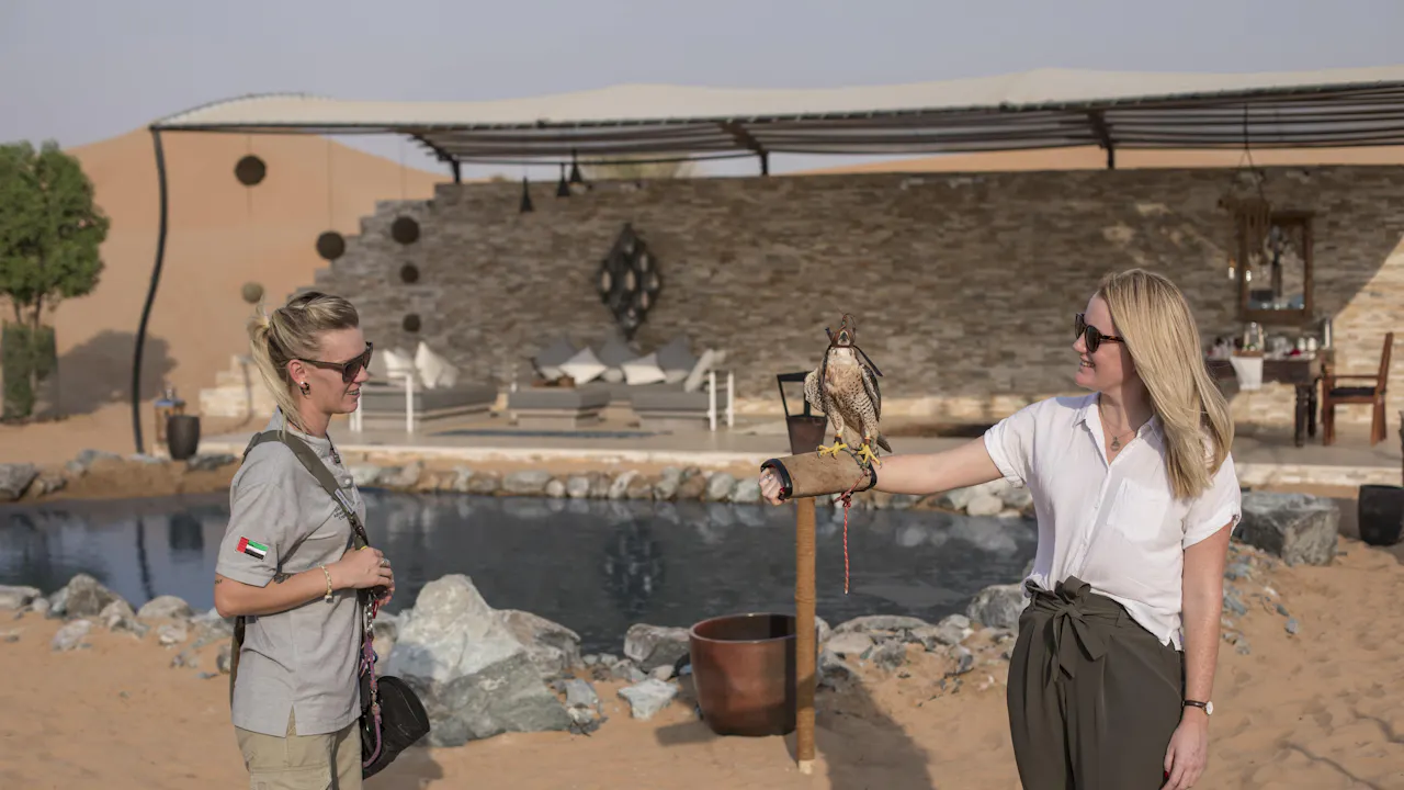 Platinum Falconry and Wildlife Safari