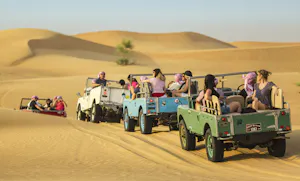 Heritage Falconry and Wildlife Safari