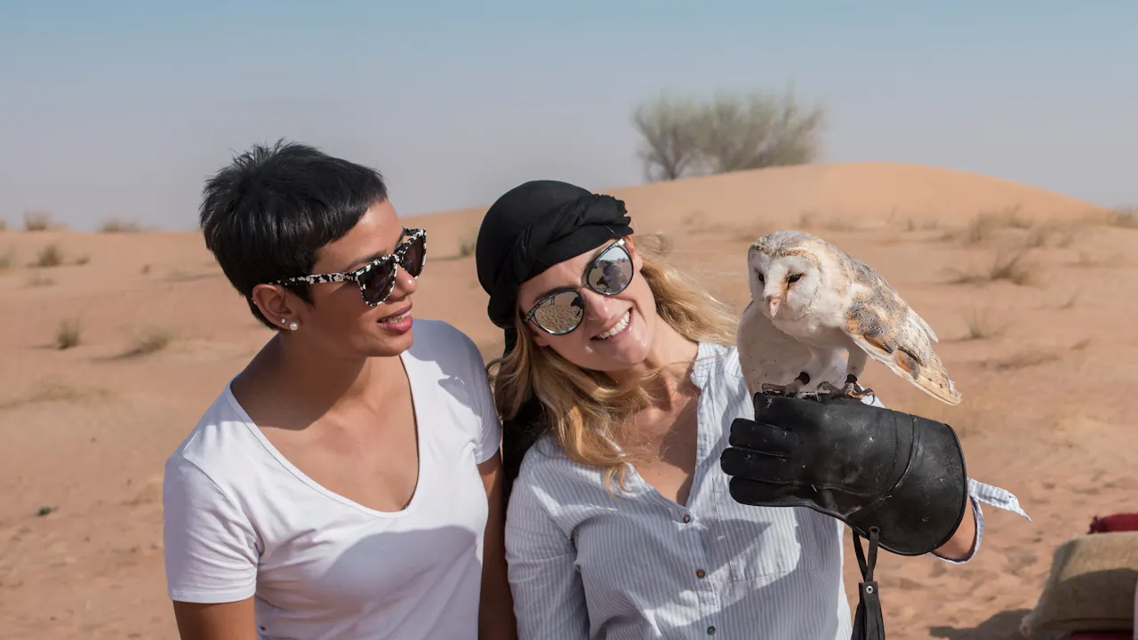 Heritage Falconry and Wildlife Safari Discount