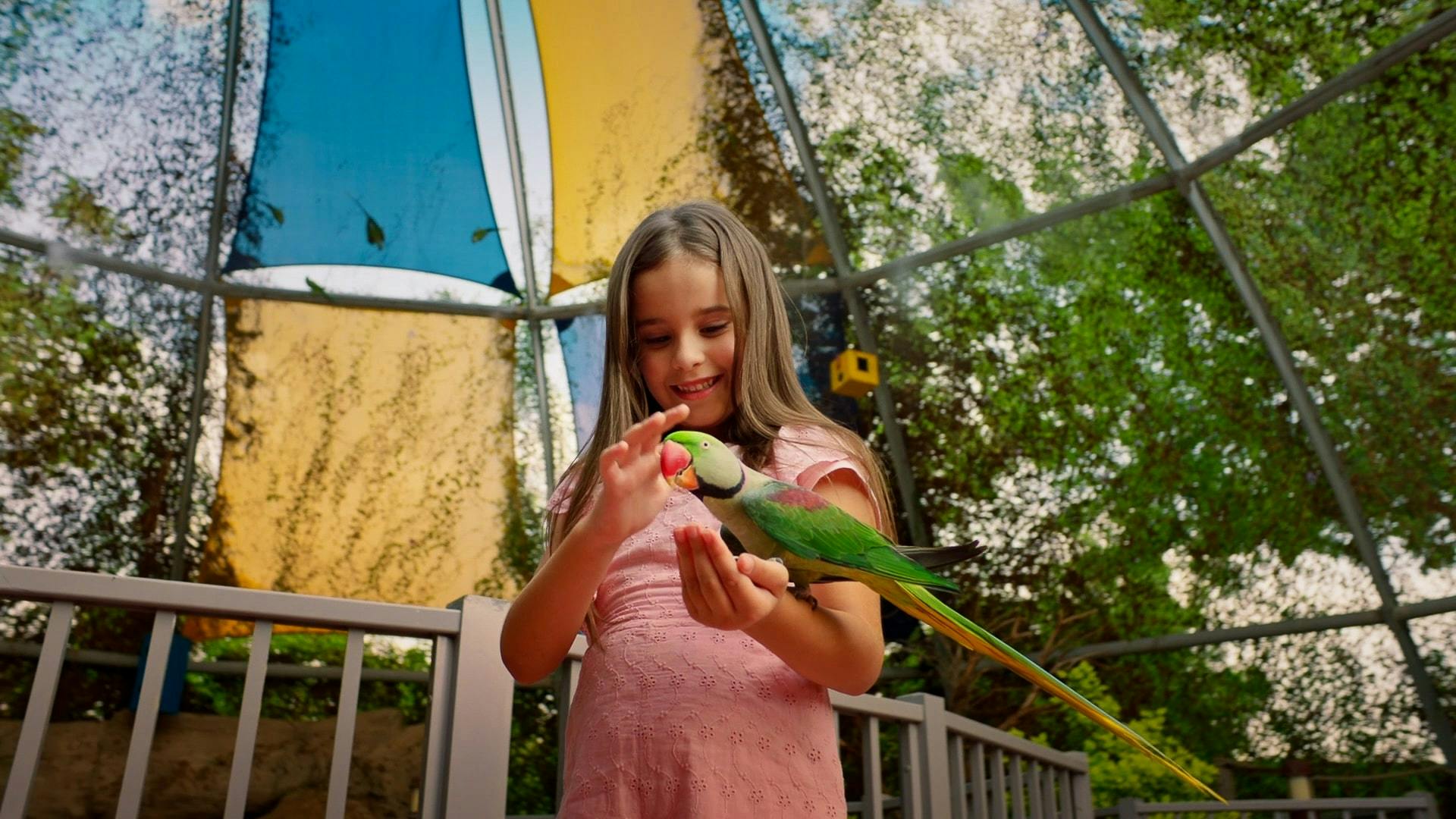 Dubai Safari Park Category