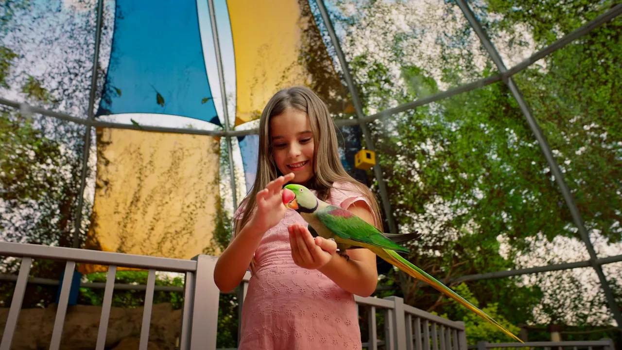 Dubai Safari Park Category