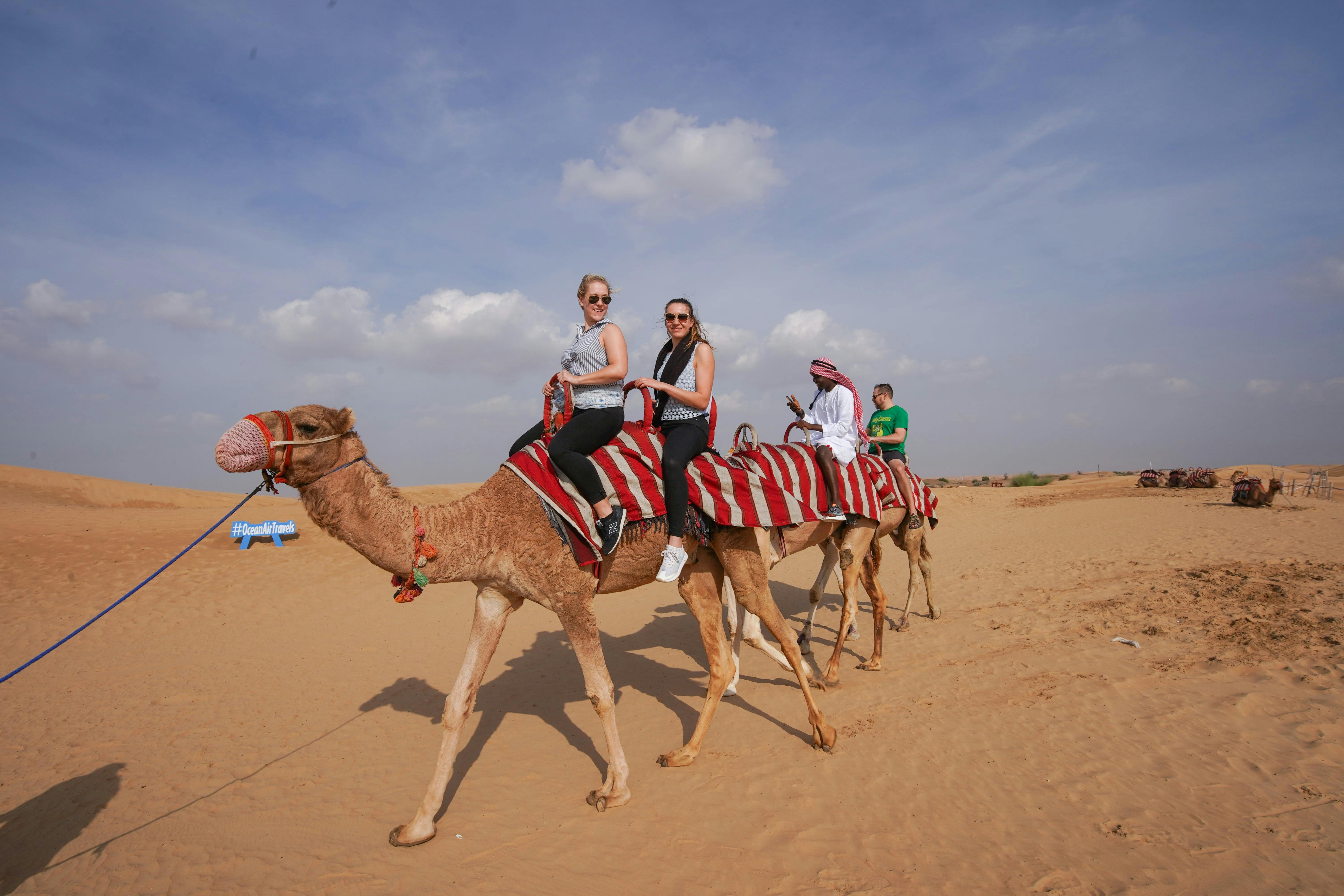 Morning Desert Safari Dubai: Dune Bashing, Sand Boarding, Camel Ride with Brunch Price