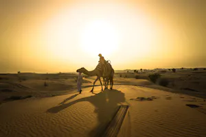 Sunset Camel Trekking With BBQ Dinner