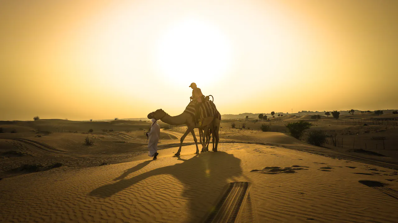 Sunset Camel Trekking With BBQ Dinner