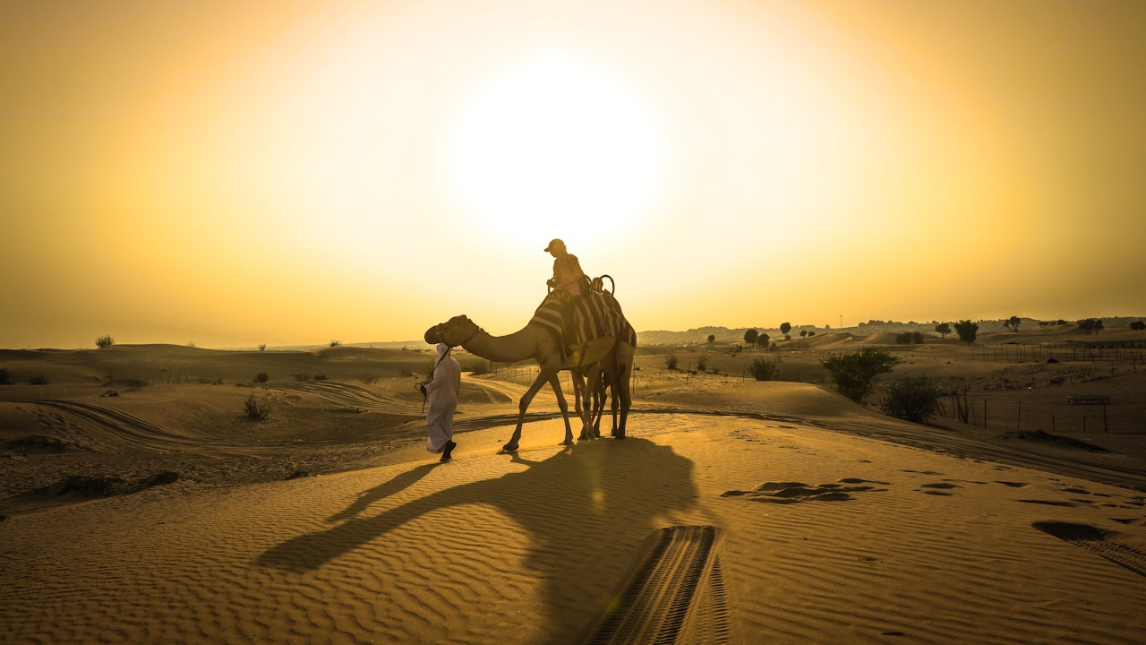 Sunset Camel Trekking With BBQ Dinner