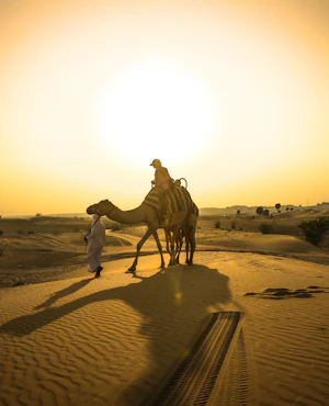 Sunset Camel Trekking With BBQ Dinner