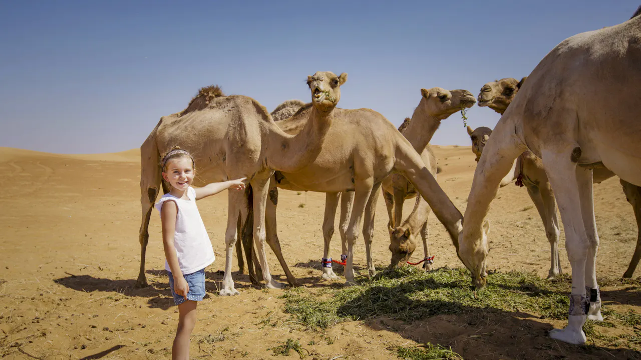 Overnight Red Dune Desert Safari with Dune Bashing BBQ & Breakfast Price
