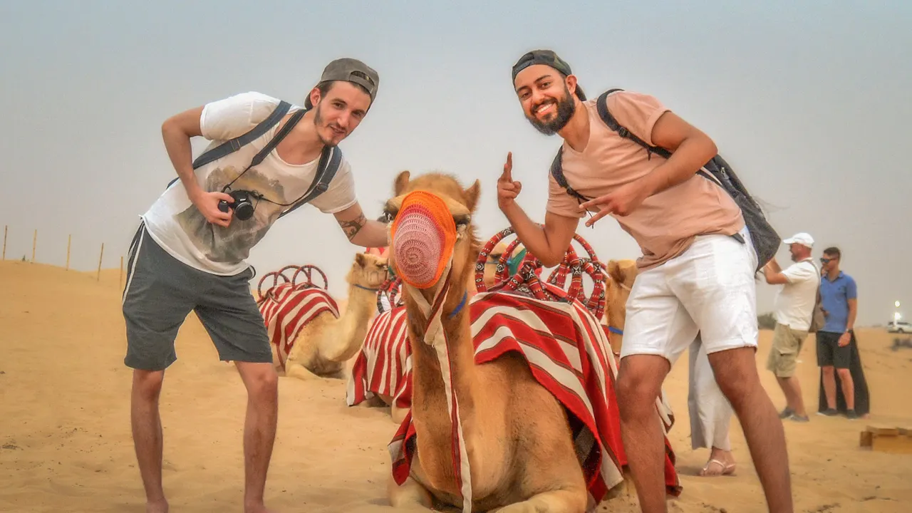 Sunrise Camel Trek With Breakfast Discount
