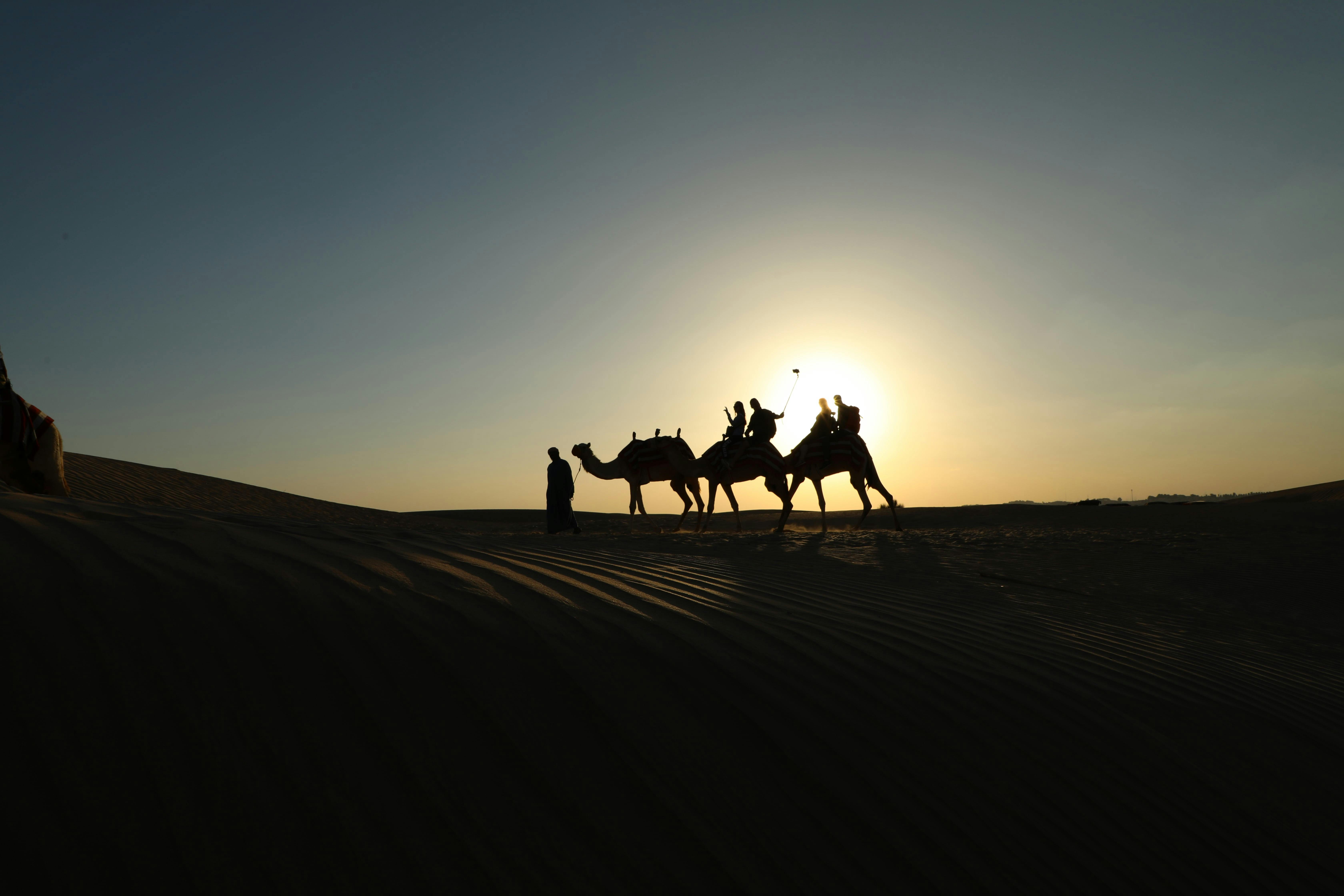 Sunrise Camel Trek With Breakfast