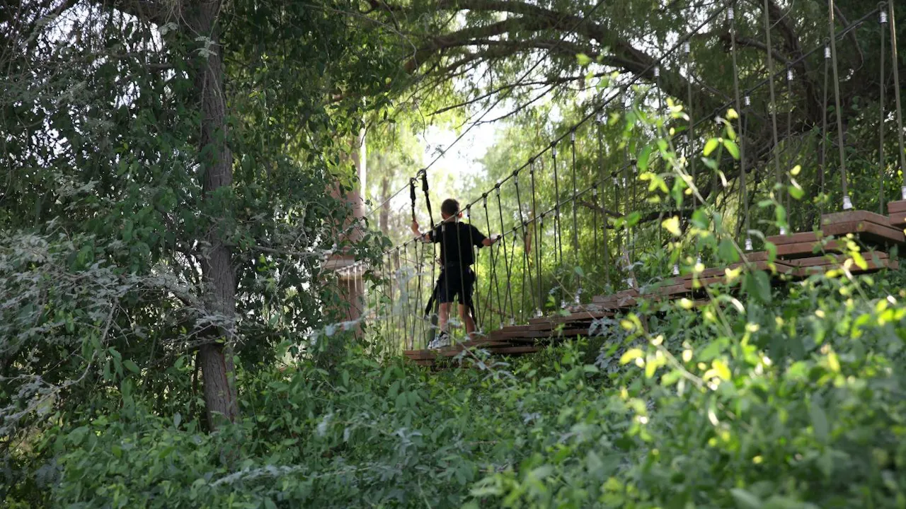 Aventura Park Adrenaline Pass