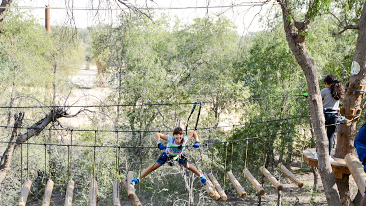Aventura Park Adrenaline Pass Category