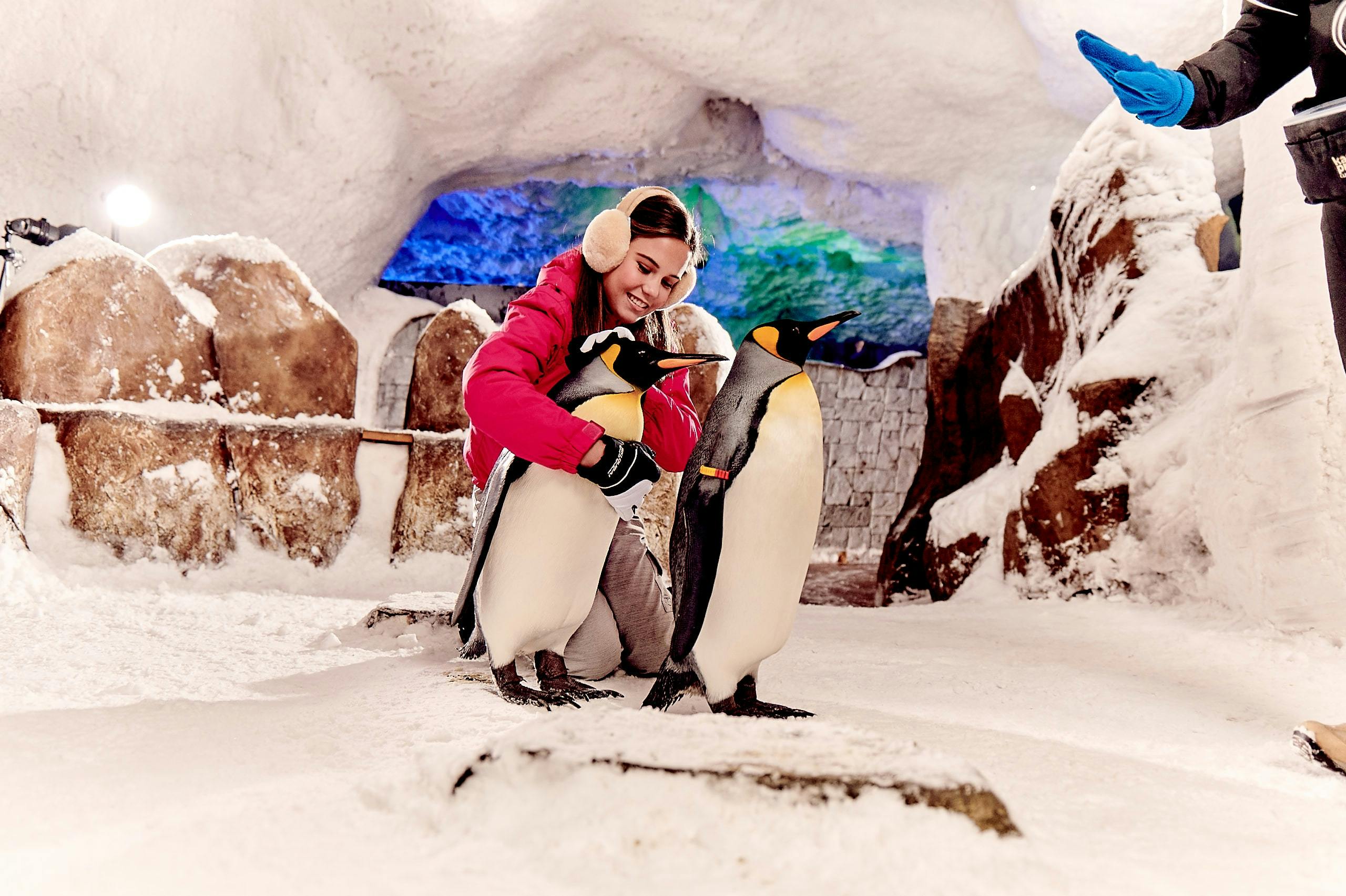 Ski Dubai - Snow Premium Pass Location