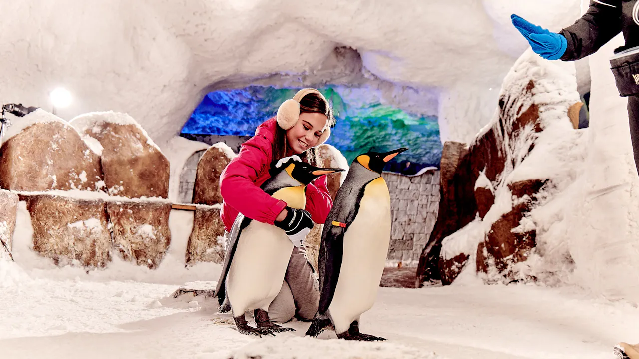 Ski Dubai - Snow Premium Pass Location