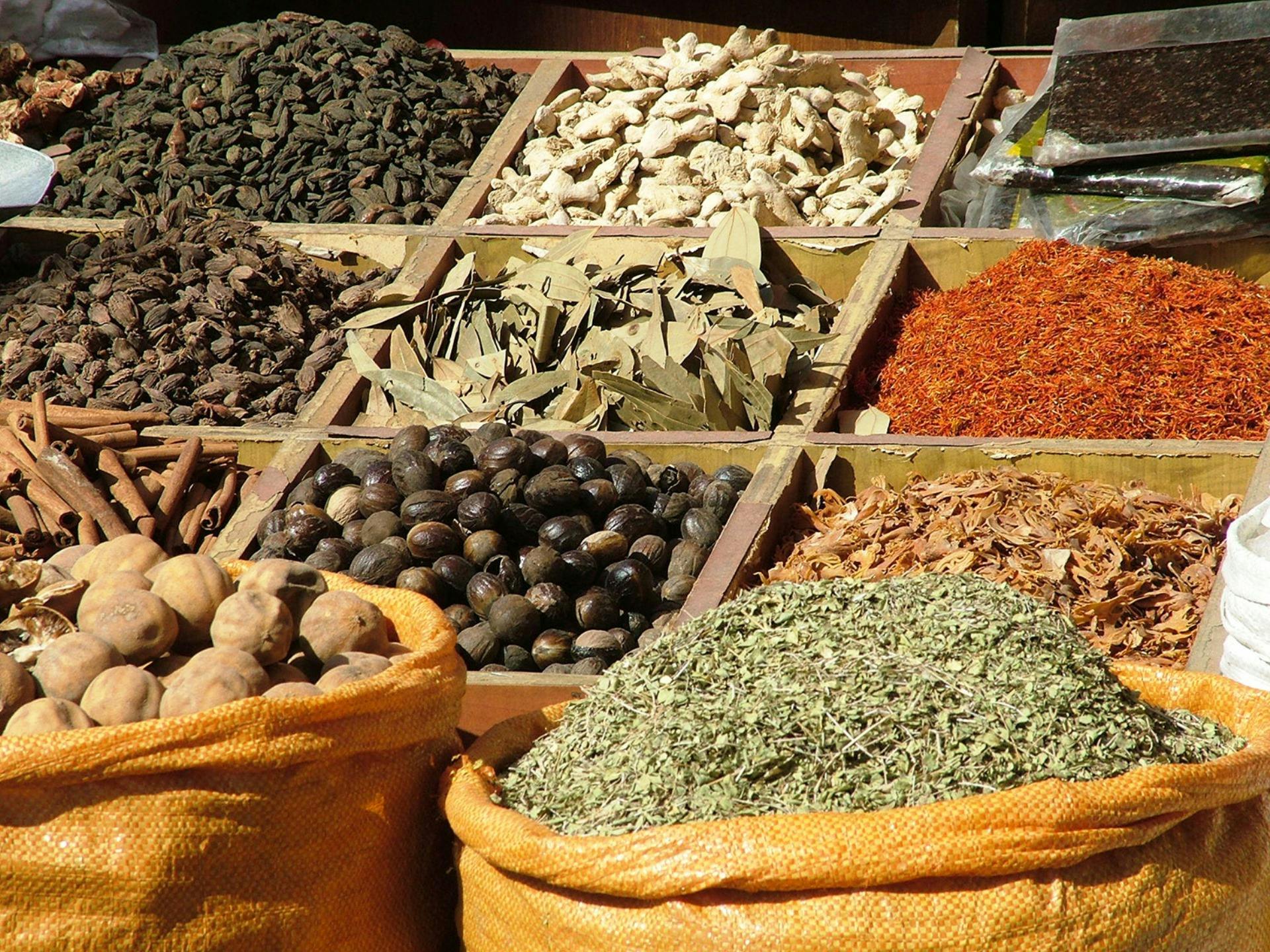 Food Experience with Lunch in Dubai Category