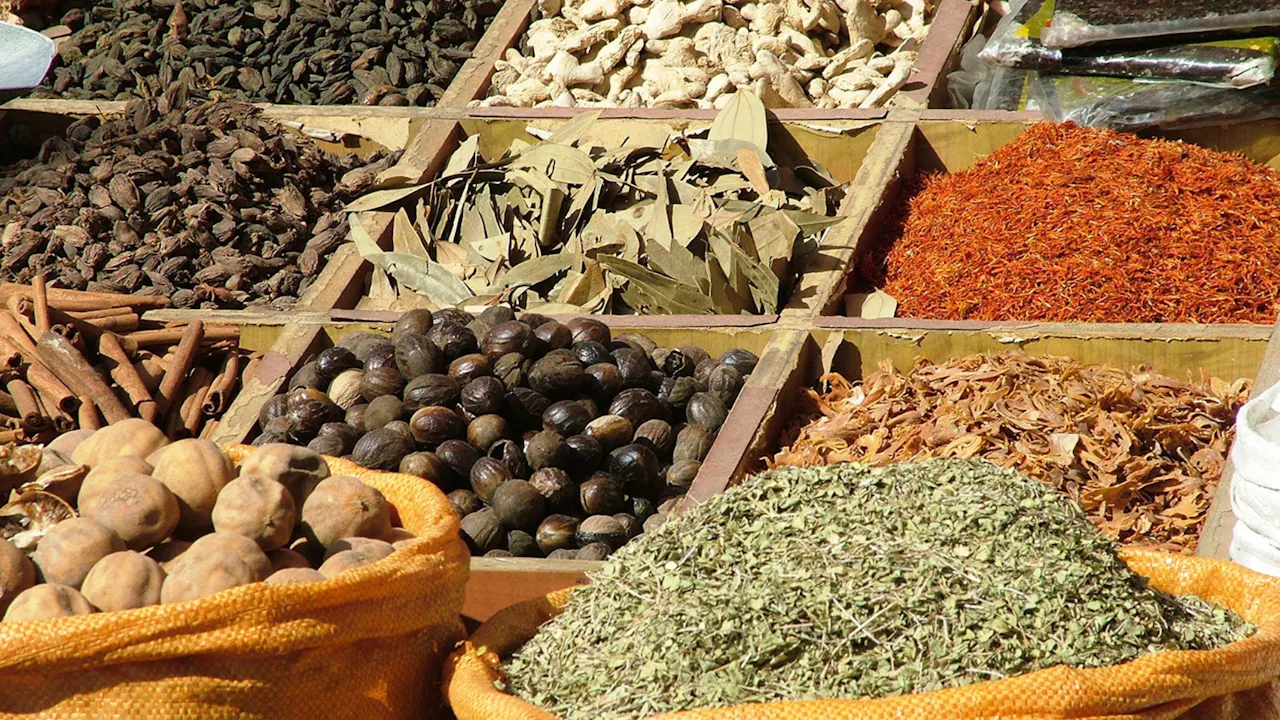 Food Experience with Lunch in Dubai Category