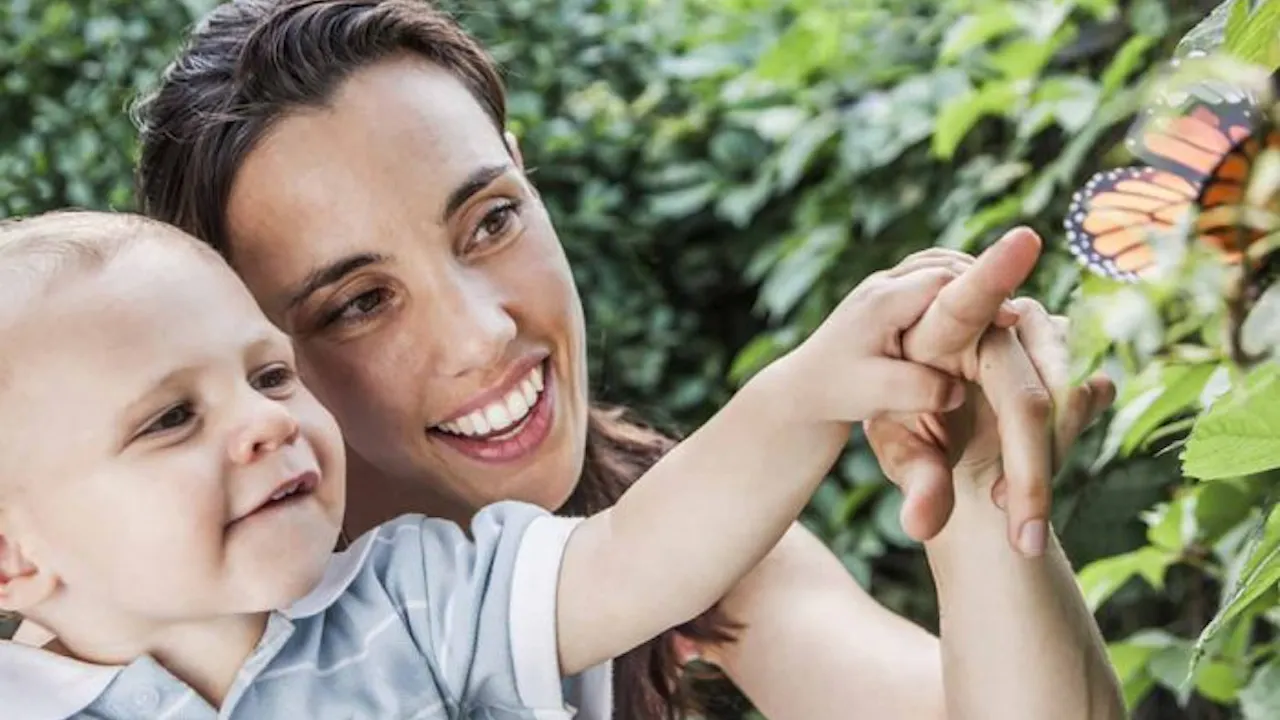 dubai butterfly garden timings