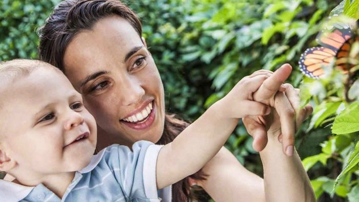 dubai butterfly garden timings