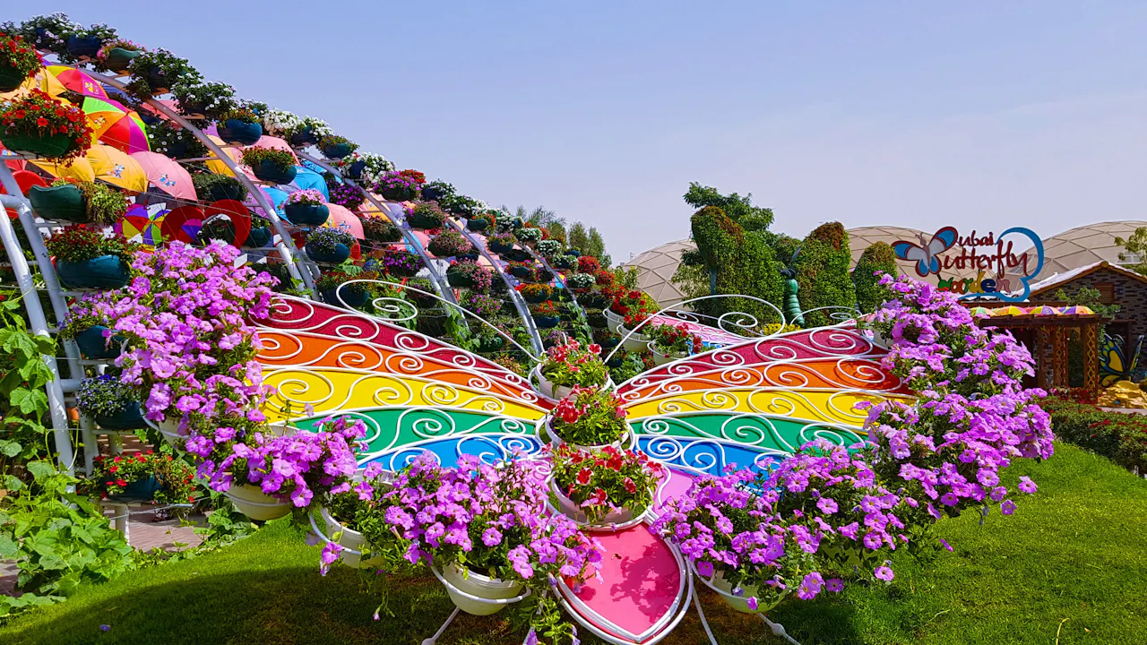 dubai butterfly garden