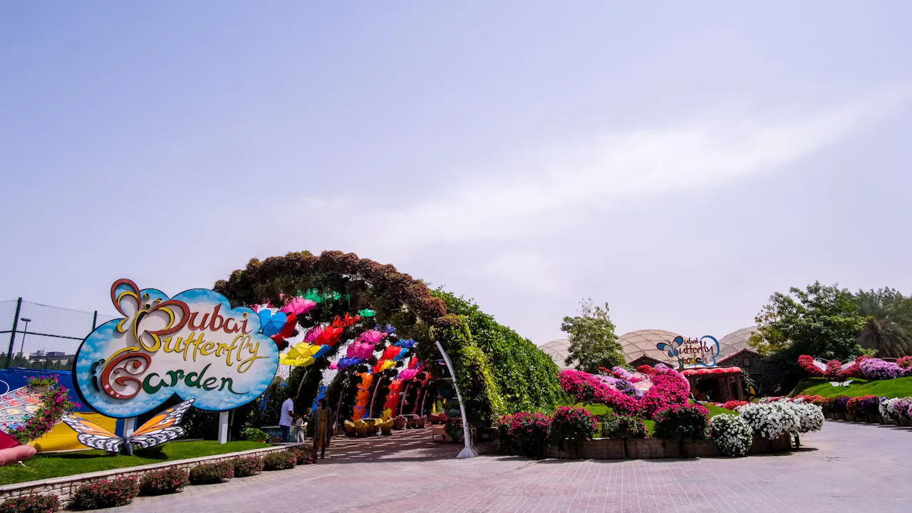butterfly park dubai