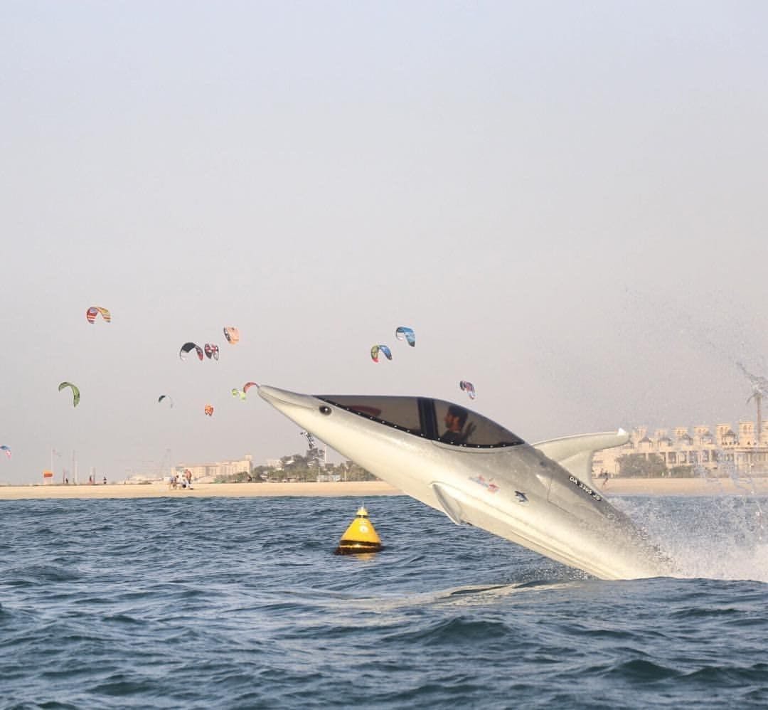 Seabreacher: The Ultimate Diving Machine Ticket