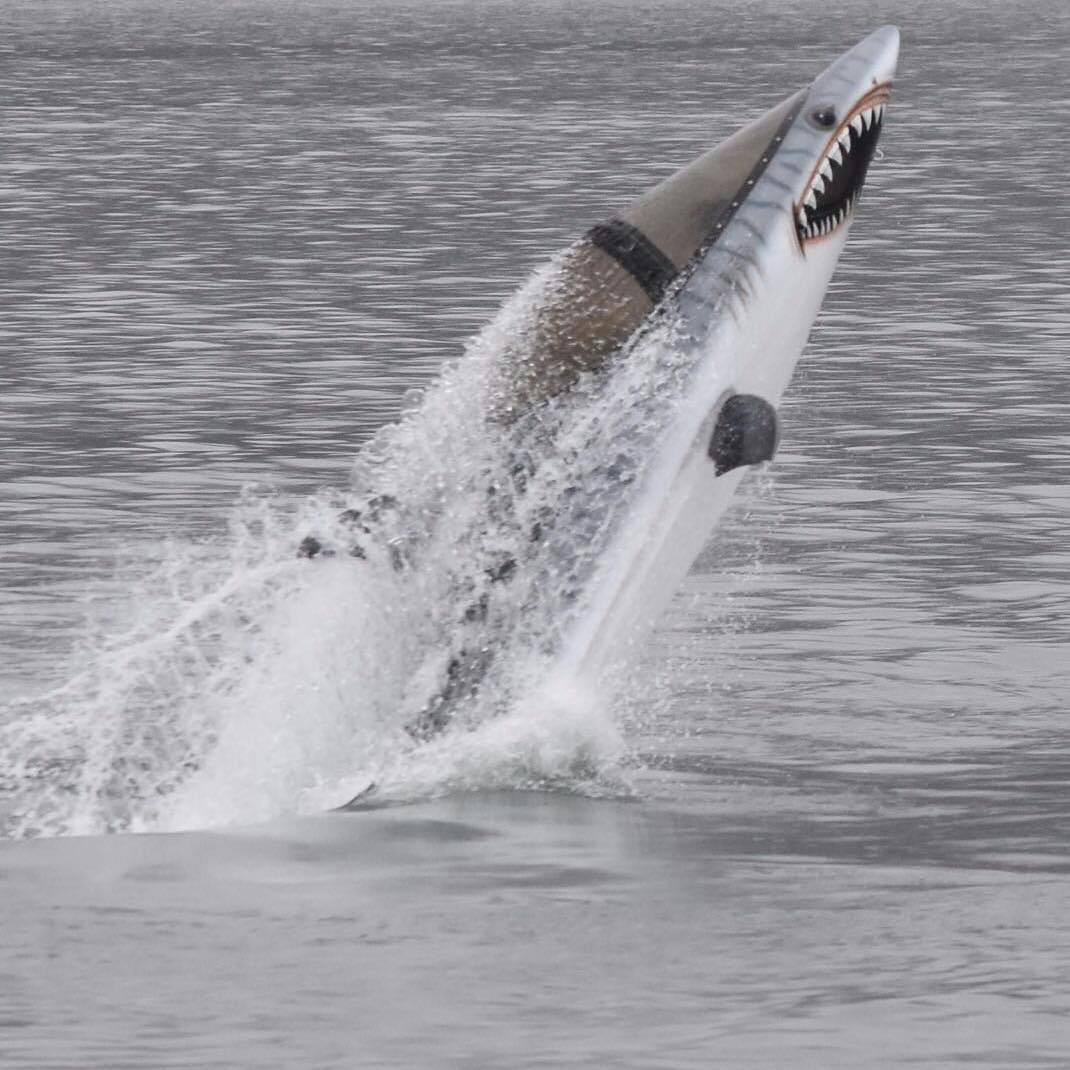 Seabreacher: The Ultimate Diving Machine Price