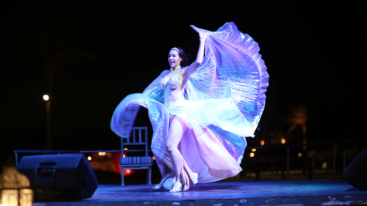 Royal Safari Desert Experience Review