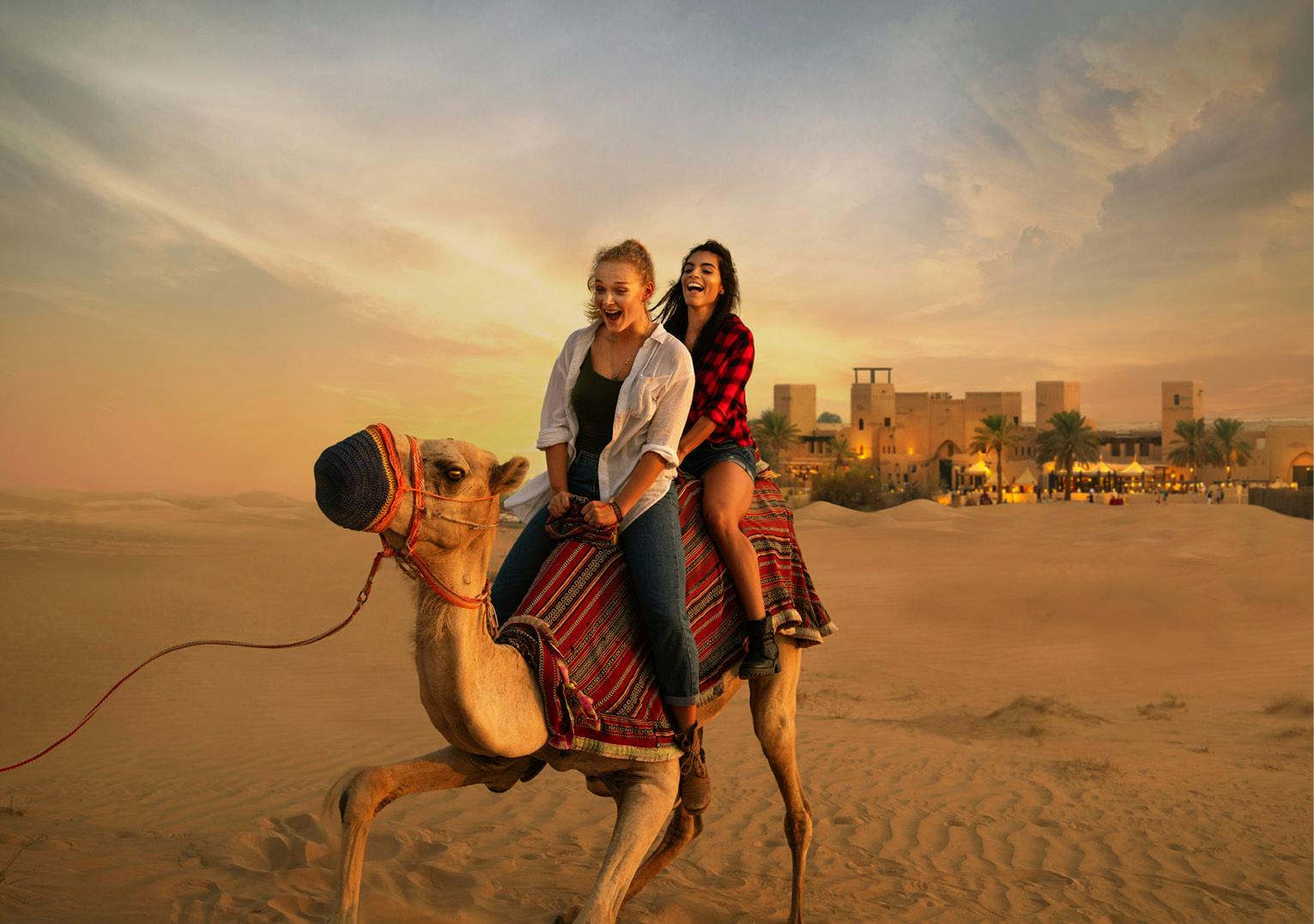 Royal Safari Desert Experience Price