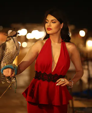 Royal Dinner Desert Experience