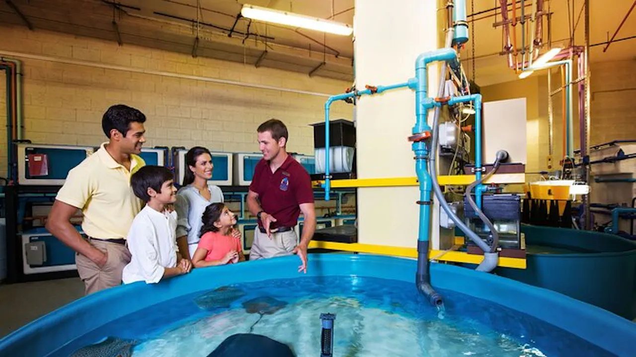 Atlantis Fish Tales Tour Ticket