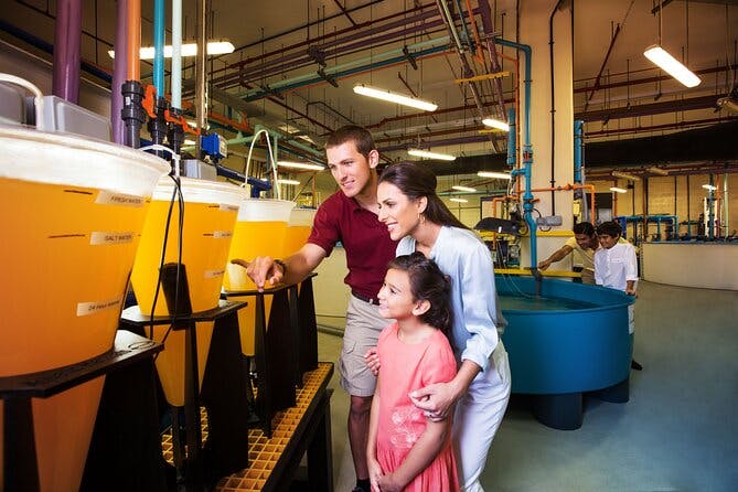 Atlantis Fish Tales Tour Price