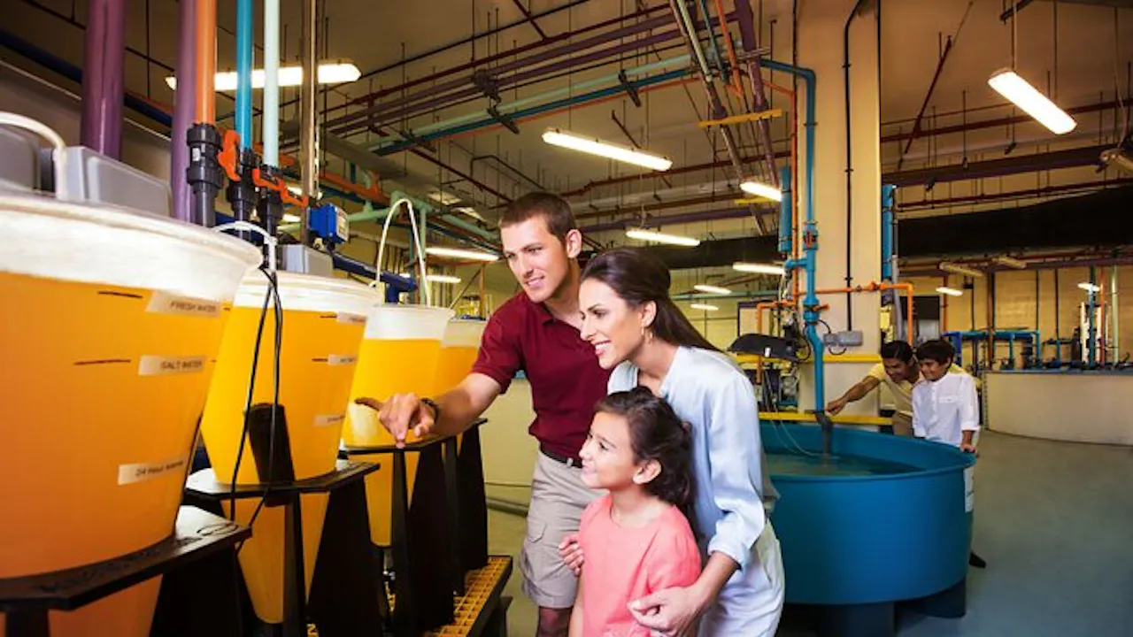 Atlantis Fish Tales Tour Price