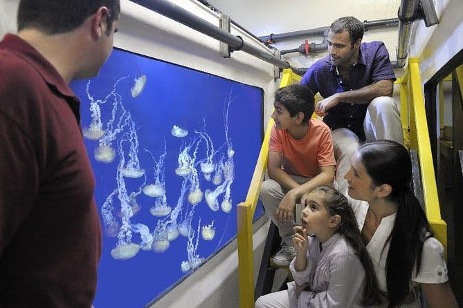 Atlantis Fish Tales Tour Discount