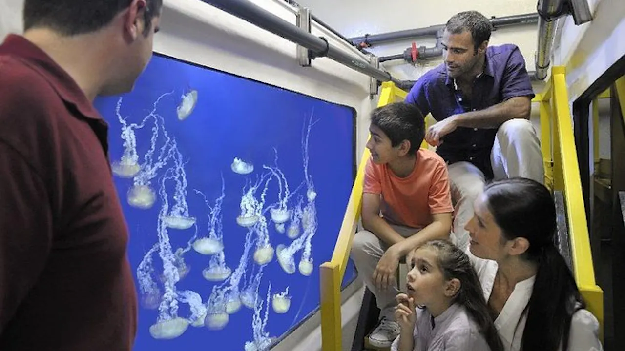 Atlantis Fish Tales Tour Discount