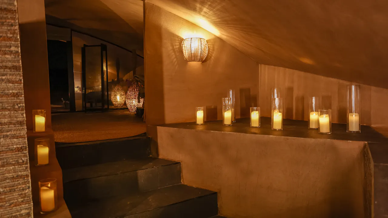 Sonara Camp: The Nest Category