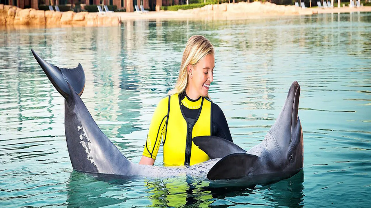 Atlantis Dolphin Photo Fun Discount