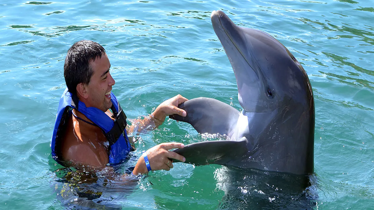 Atlantis Dolphin Photo Fun Ticket