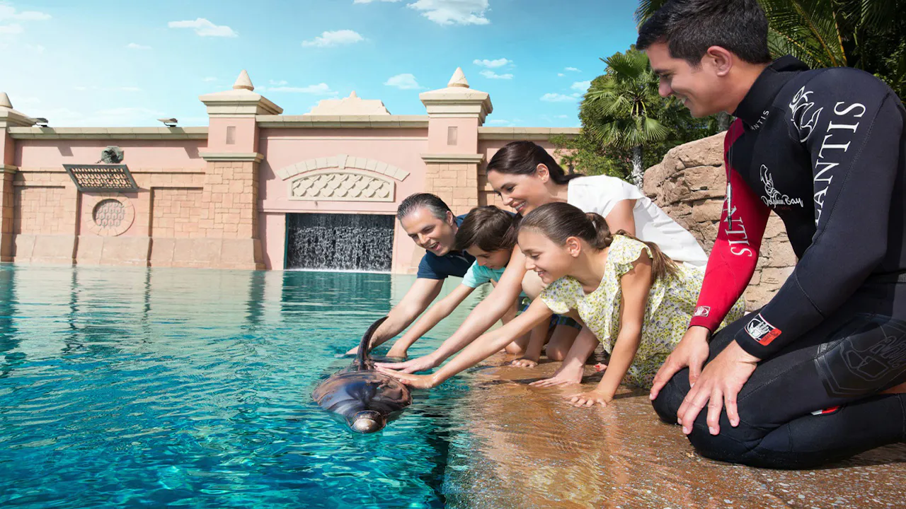 Atlantis Dolphin Photo Fun Location