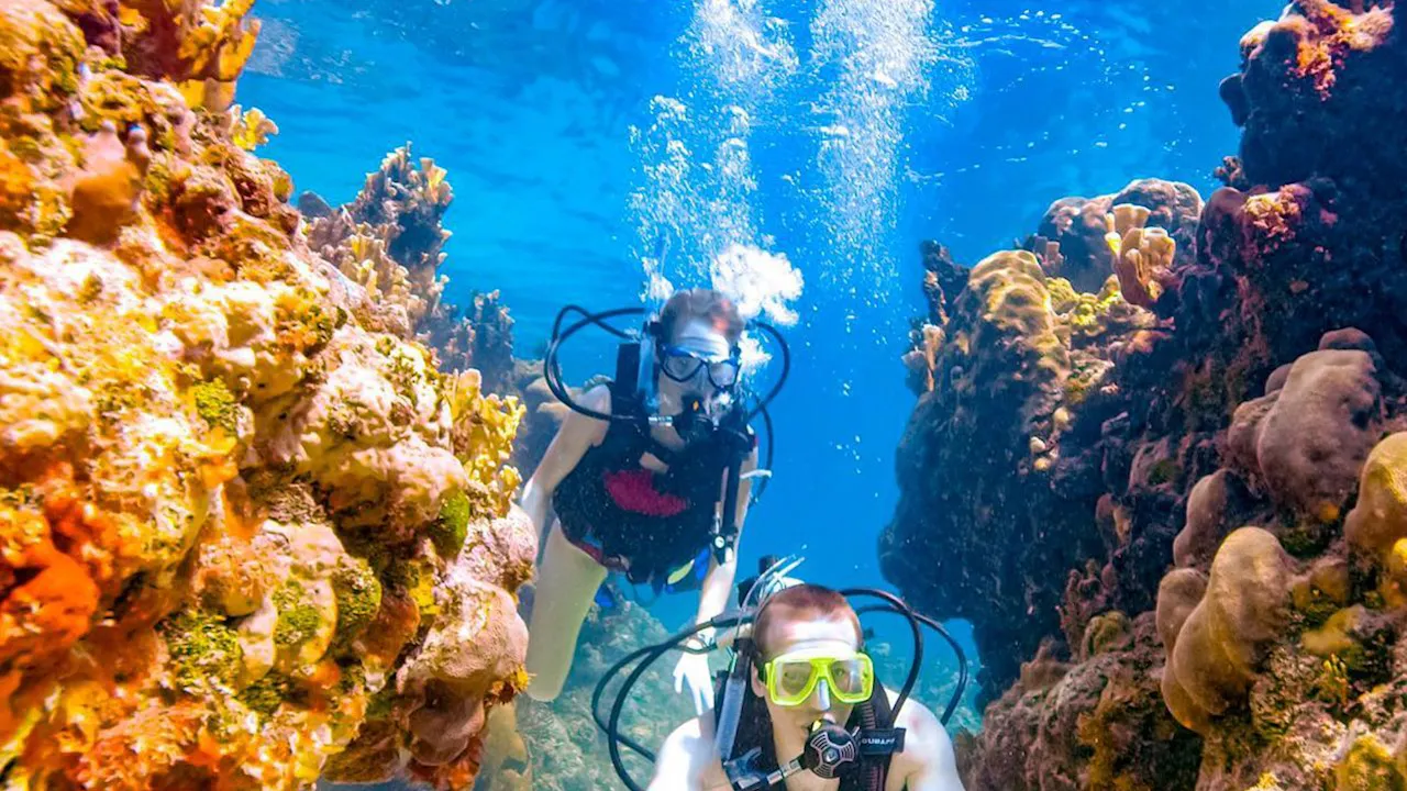Scuba Diving Dubai Discount