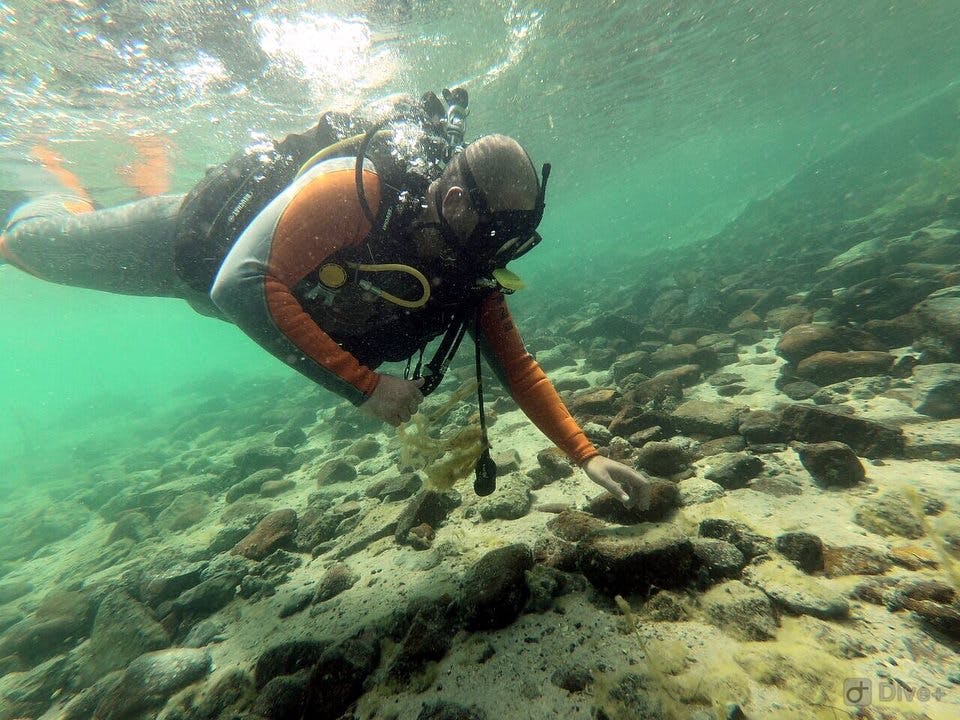 Scuba Diving Dubai Ticket