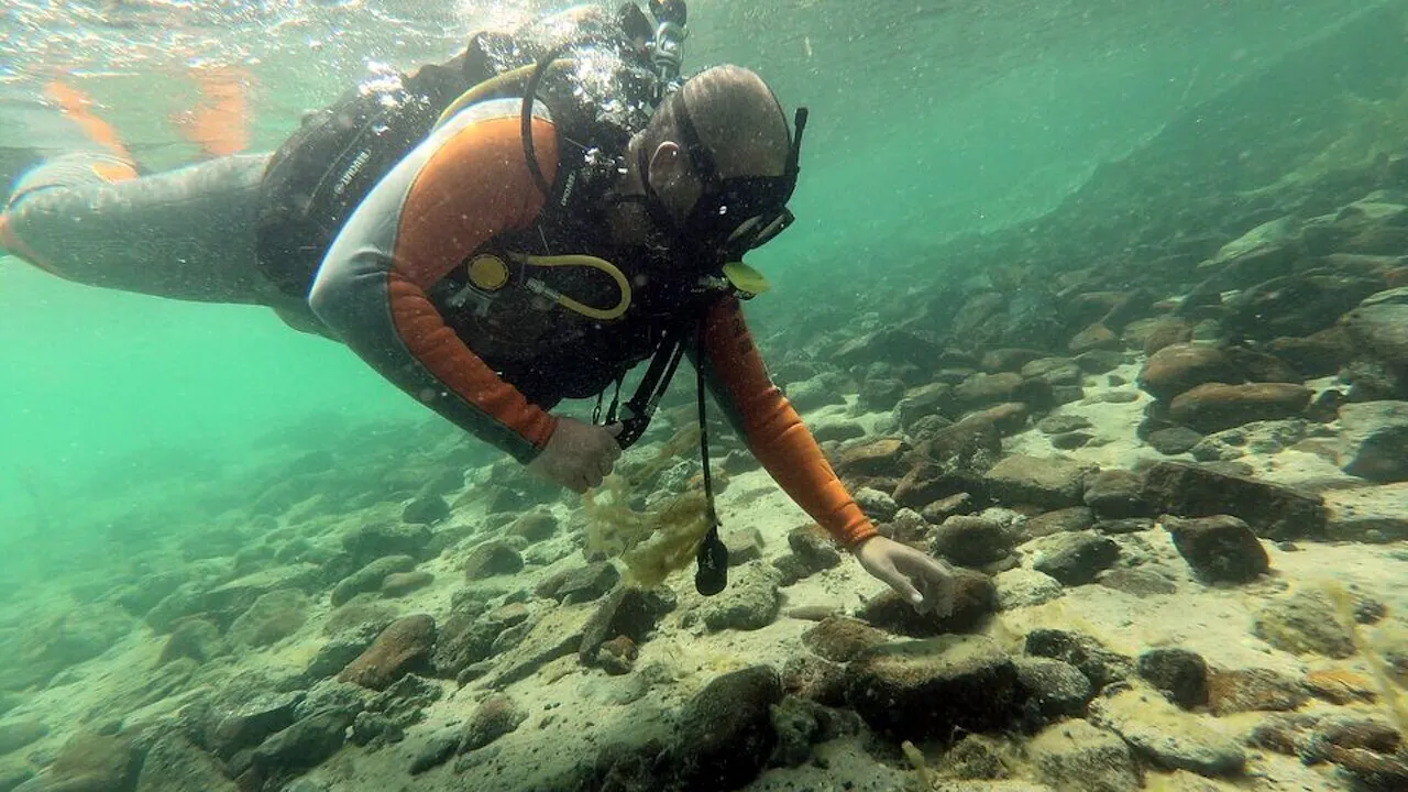 Scuba Diving Dubai Ticket