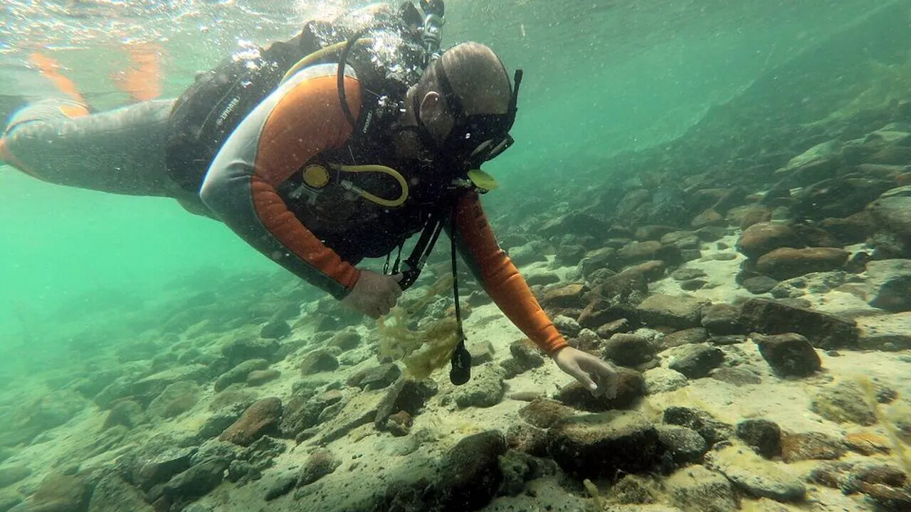 Scuba Diving Fujairah