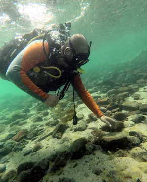 Scuba Diving Fujairah