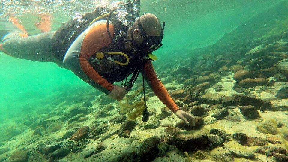 Scuba Diving Fujairah