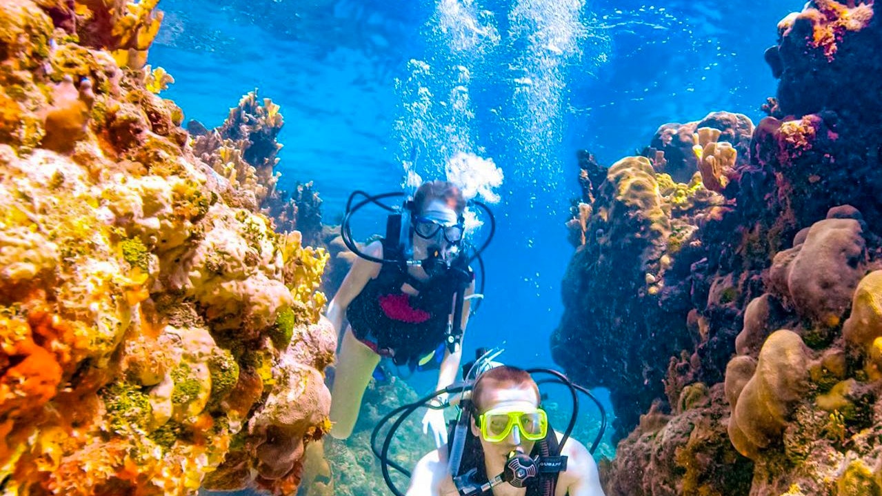 Scuba Diving Fujairah Price