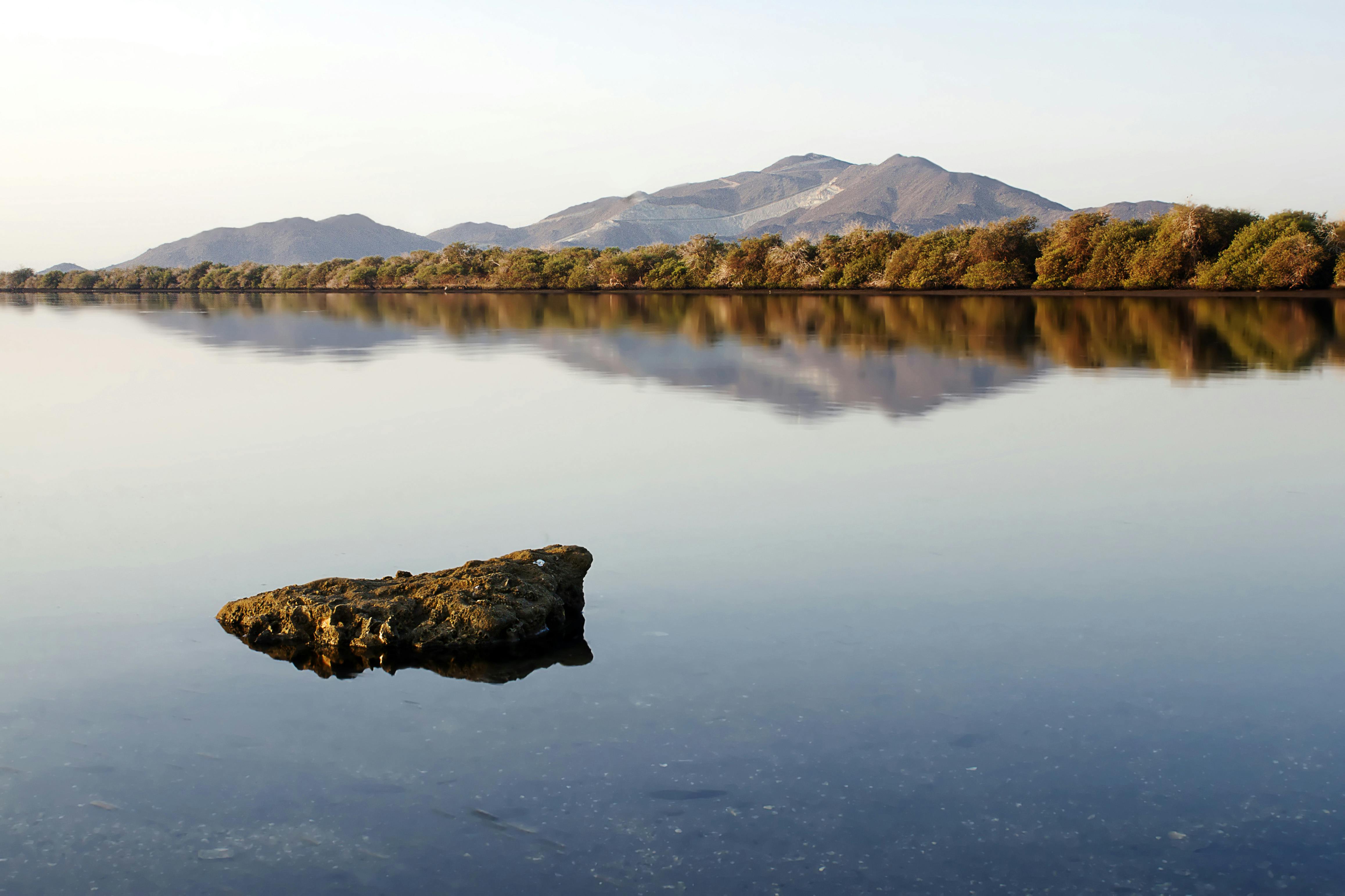 Dubai Jeep Adventure Safari  Review