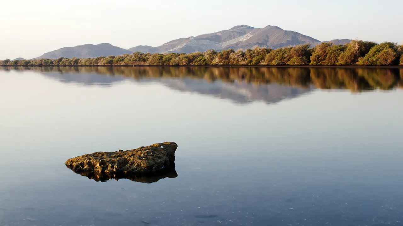 Dubai Jeep Adventure Safari Review