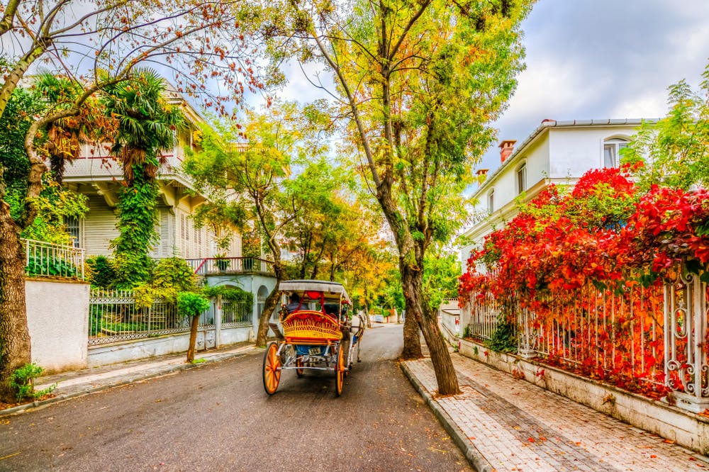 Princes Island Tour with Lunch from Istanbul Location