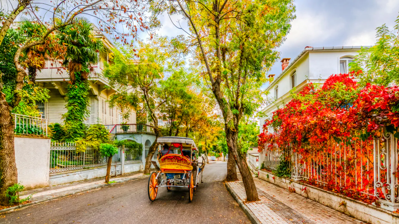 Princes Island Tour with Lunch from Istanbul Location