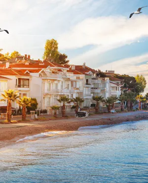 Full-Day Princes Island Tour with Lunch